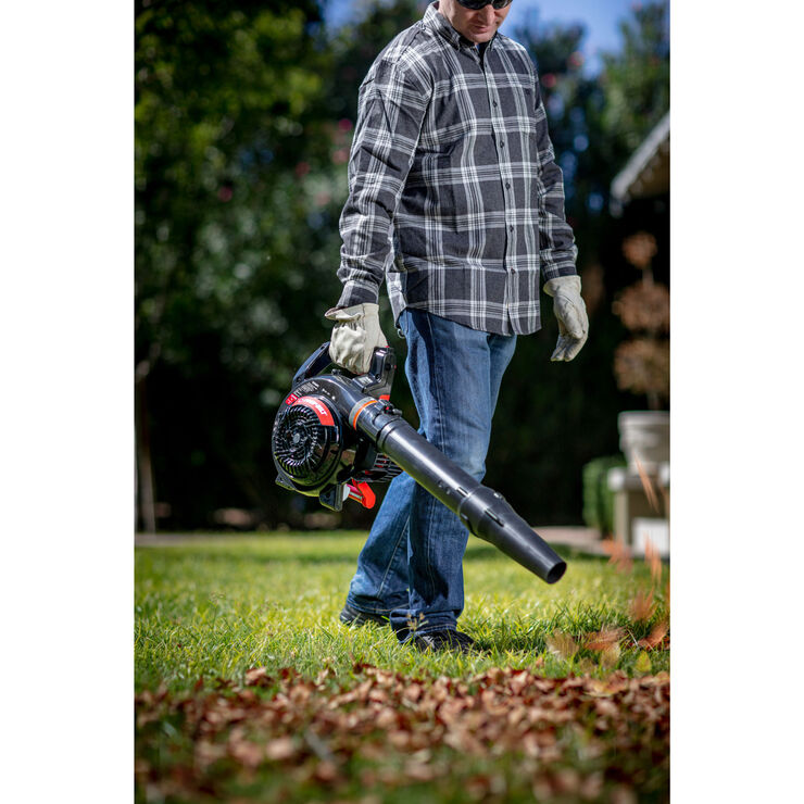 Black and Decker, Craftsman among leaf blowers on sale during