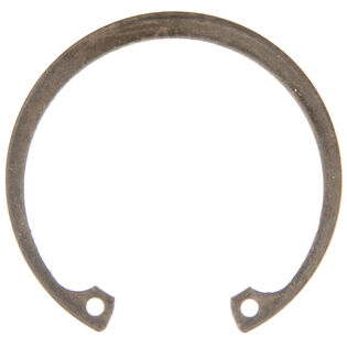 Retaining Ring